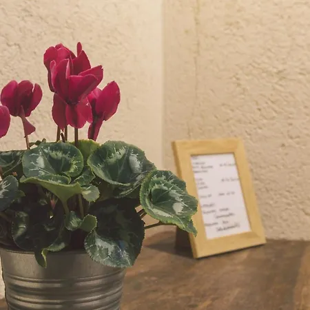 אורחן Suisse 2*