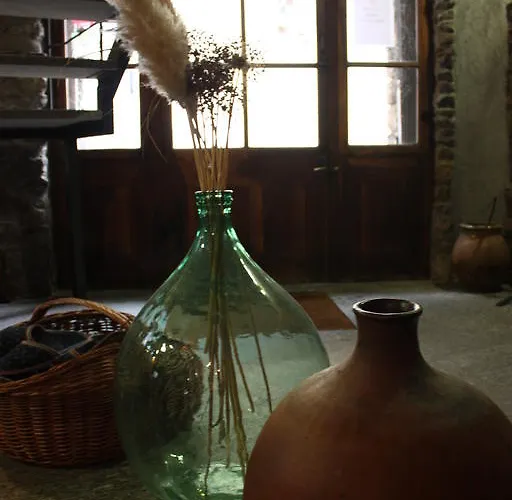 אורחן Suisse 2*