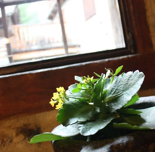 Suisse 2* סנט-רמי-אן-בוסס