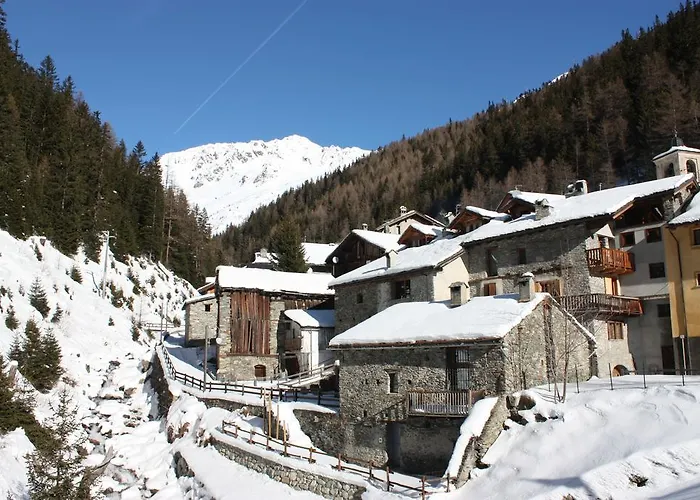 אורחן Suisse 2*