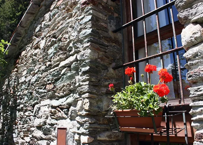 אורחן Suisse 2*