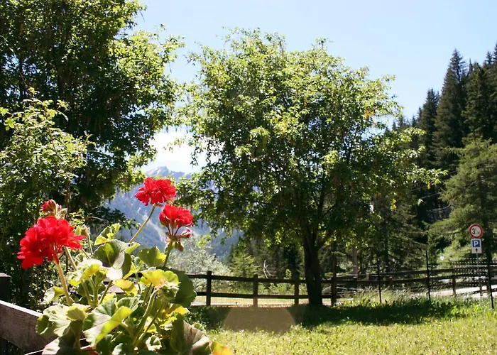 Suisse 2* סנט-רמי-אן-בוסס